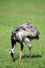 Image: Iber marshlands - The Iber Marshlands
