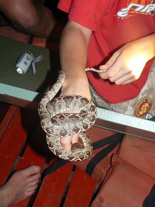 BR0808FP122_anavilhanas-jungle-lodge.jpg [&copy; Last Frontiers Ltd]