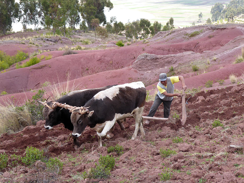 PE1018SM181_explora-valle-sagrado-hike-to-chinchero-and-back-to-explora.jpg [&copy; Last Frontiers Ltd]